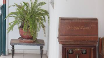 A hallway with a potted fern, a vintage telephone, and a framed artwork on the wall.