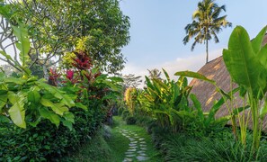 Vista del jardí