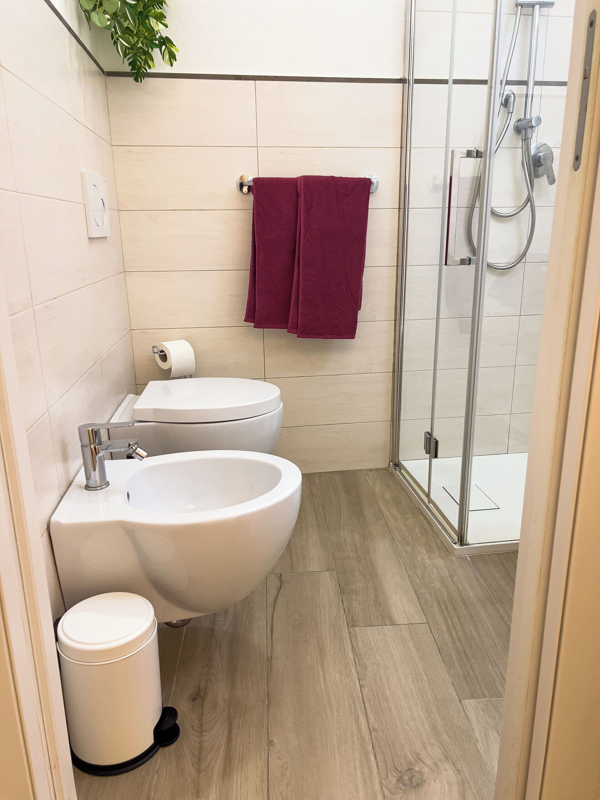 Shower, hair dryer, bidet