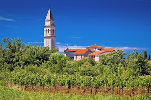 Ein Weinberg mit Reihen von Weinreben und einem Gebäude mit rotem Ziegeldach.