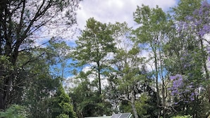 A small house with a green roof, surrounded by lush greenery and trees. - MOUNTAIN (BALGARR) CABIN RETREAT (Not quite glamping, perfect getaway) (Elands)