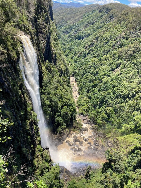 A waterfall cascading down a steep cliff surrounded by dense forest. - MOUNTAIN (BALGARR) CABIN RETREAT (Not quite glamping, perfect getaway) (Elands)