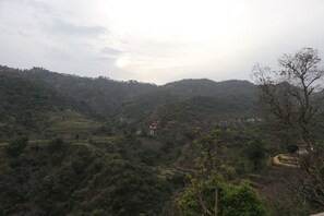 Vista a la montaña
