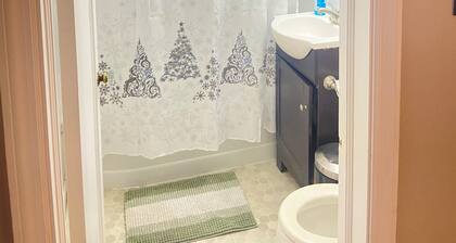 Spacious 4-bedroom apartment near Mayo Clinic