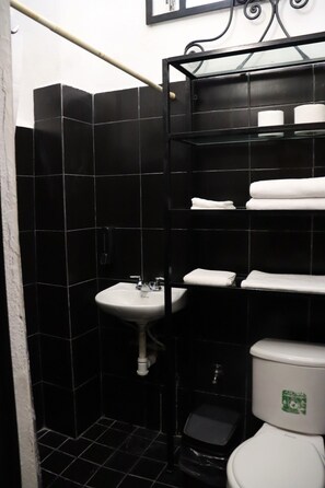 Shower, hair dryer, towels, soap - Central Studio 2 Minutes from the Beach on the Puerto Vallarta Malecón (Puerto Vallarta)