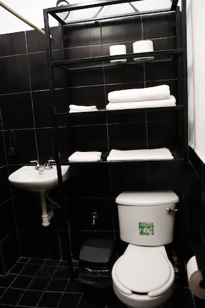 Shower, hair dryer, towels, soap - Central Studio 2 Minutes from the Beach on the Puerto Vallarta Malecón (Puerto Vallarta)