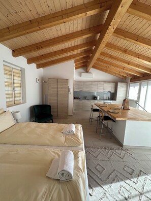 1 bedroom, WiFi, bed sheets - Bright studio, just steps to the lake (Ascona)