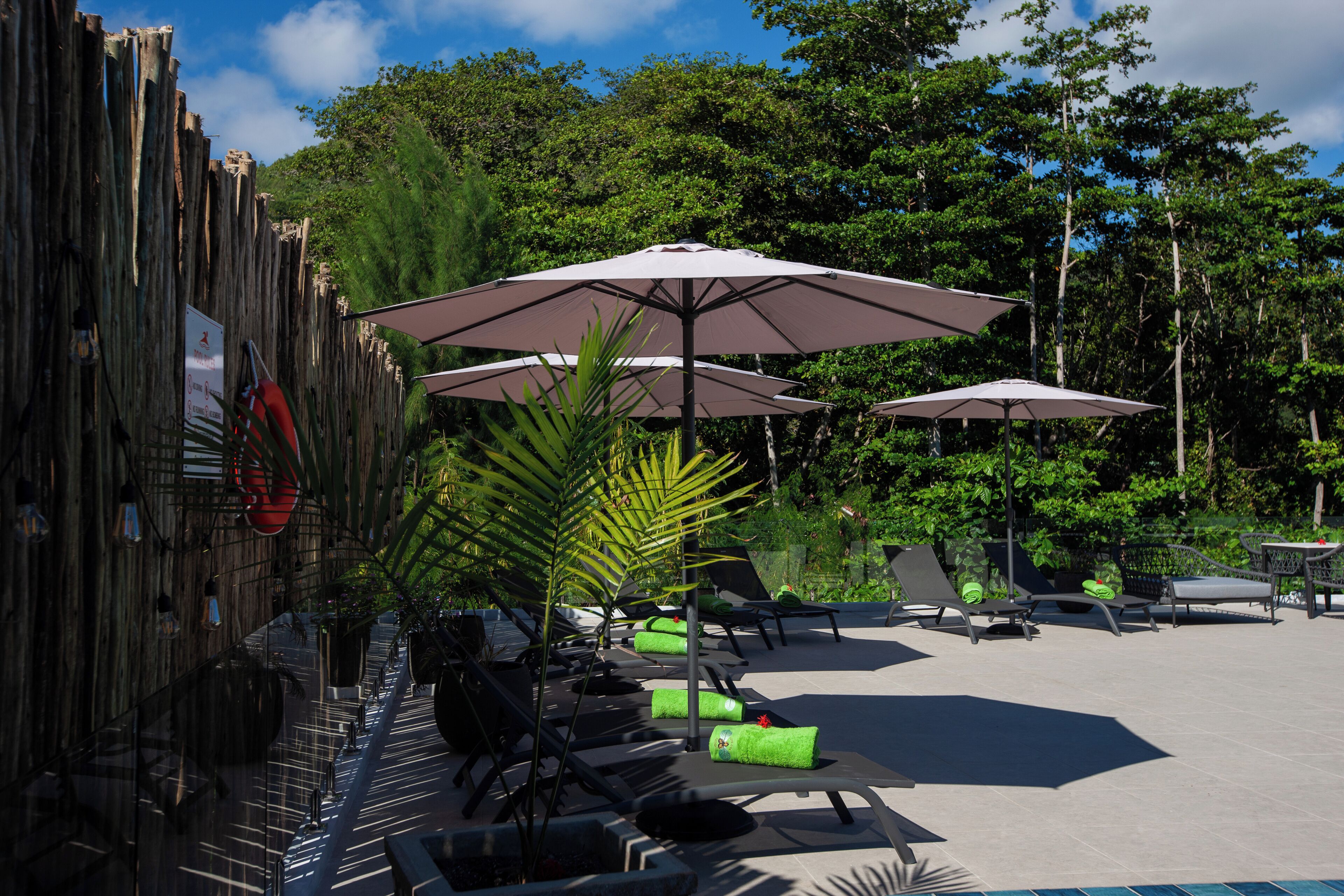 A poolside area with lounge chairs, umbrellas, and a bamboo fence.
