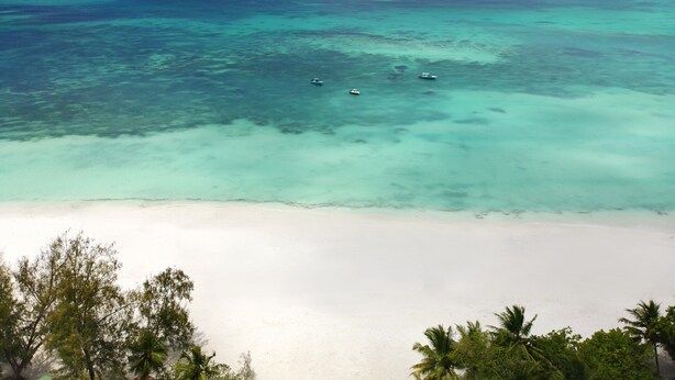 A beach with clear turquoise water, a sandy shore, and palm trees.