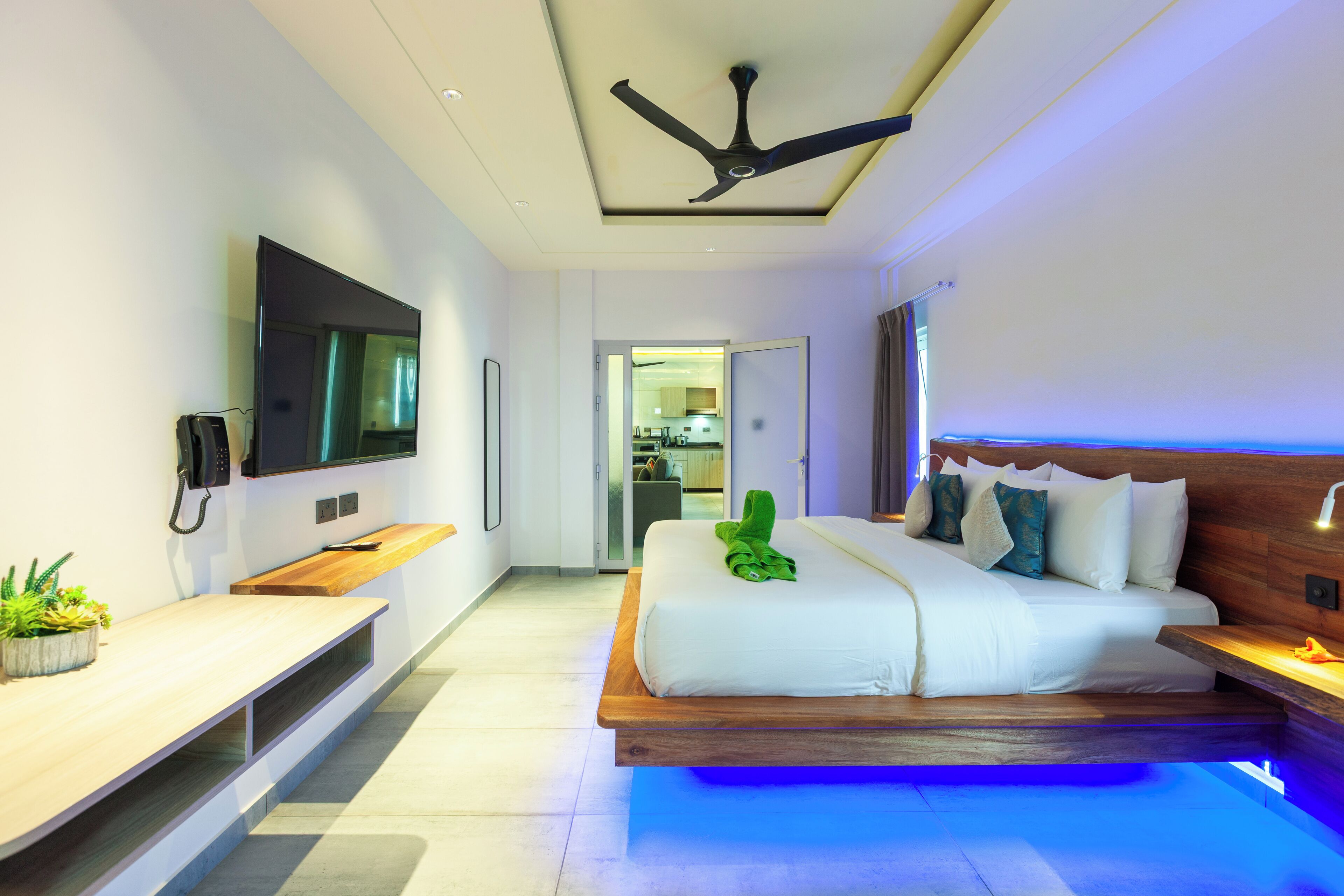 A modern hotel room with a bed, a TV, a ceiling fan, and a small plant on the nightstand.