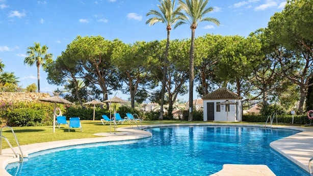 Une piscine à l’eau bleue, entourée d’arbres et de chaises longues bleues.