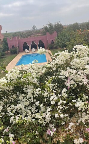 Pool - Dar Nour el ilham دارنورالالهام (Marrakech)