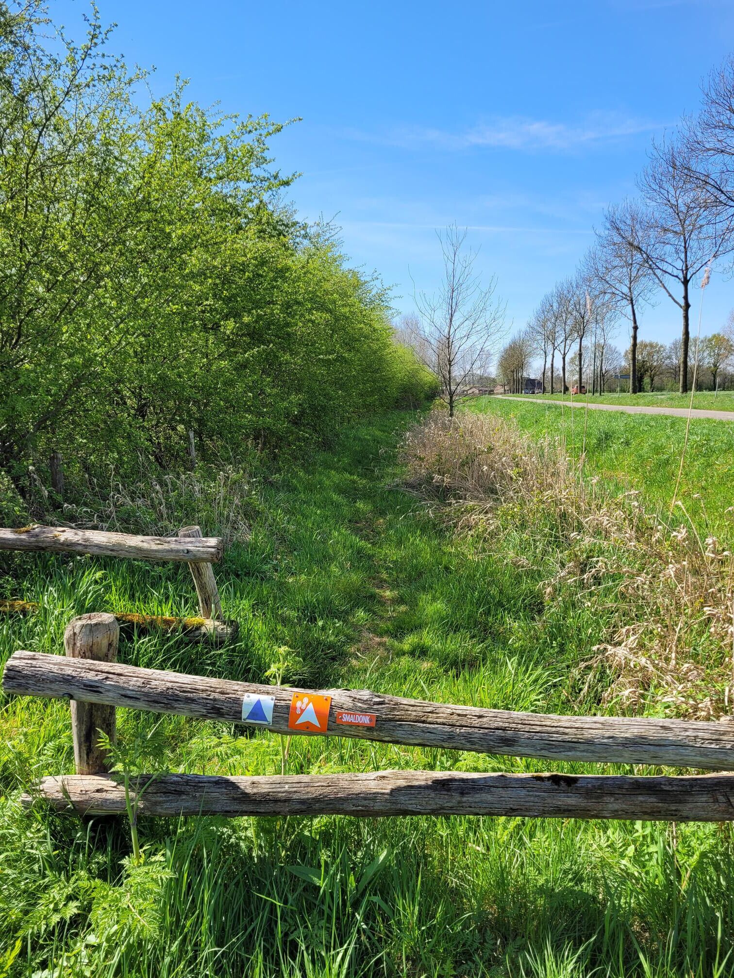 A rural pathway with a wooden fence, lush greenery, and a clear blue sky.