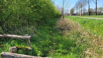 A rural pathway with a wooden fence, lush greenery, and a clear blue sky.