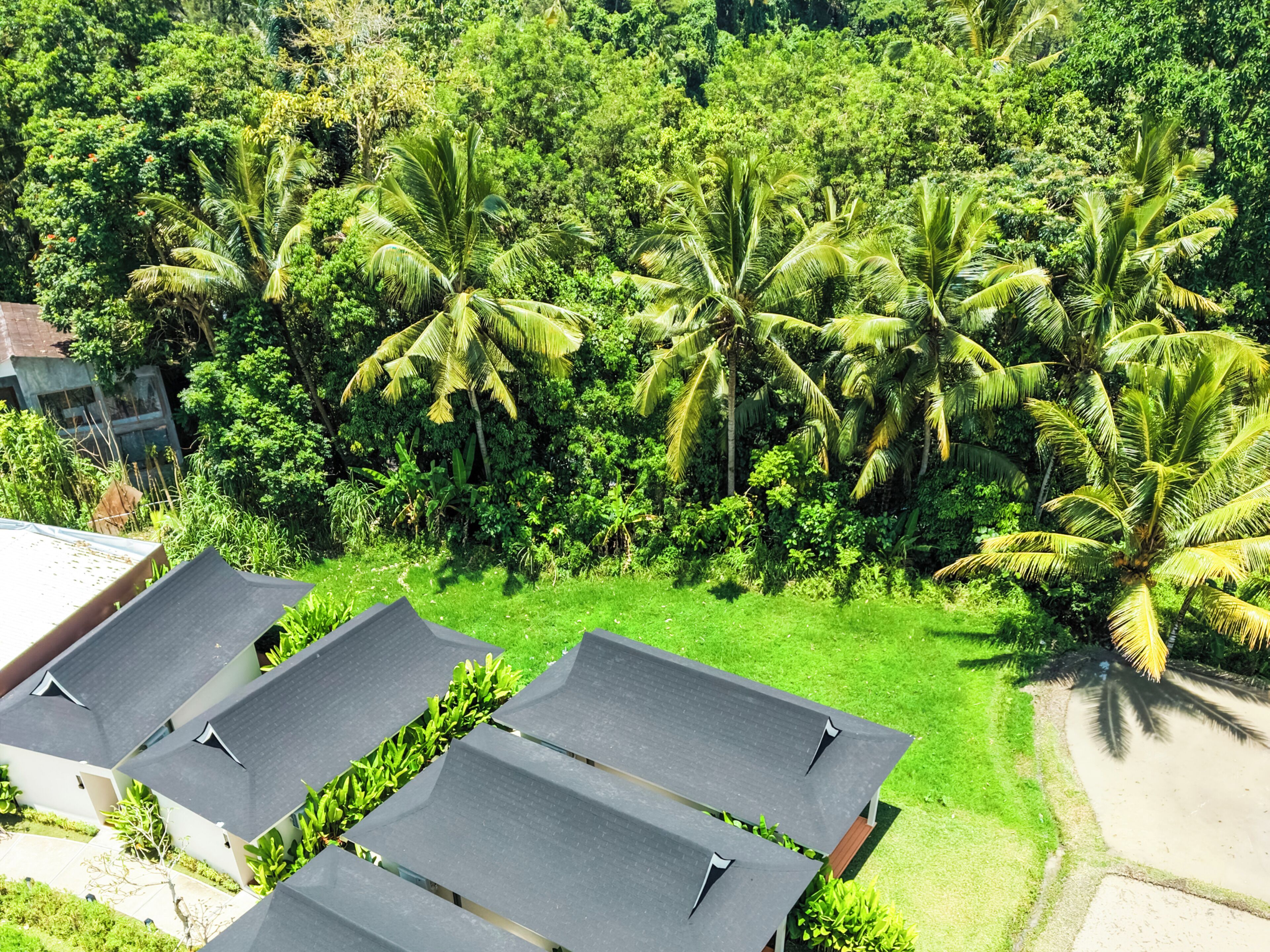 Executive Room, 1 King Bed, Garden View | View from room