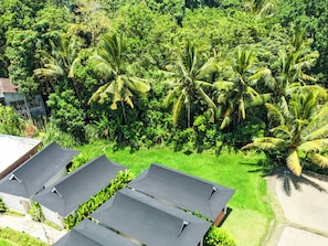 Executive Room, 1 King Bed, Garden View | View from room - Tanada Resort  (Ubud)