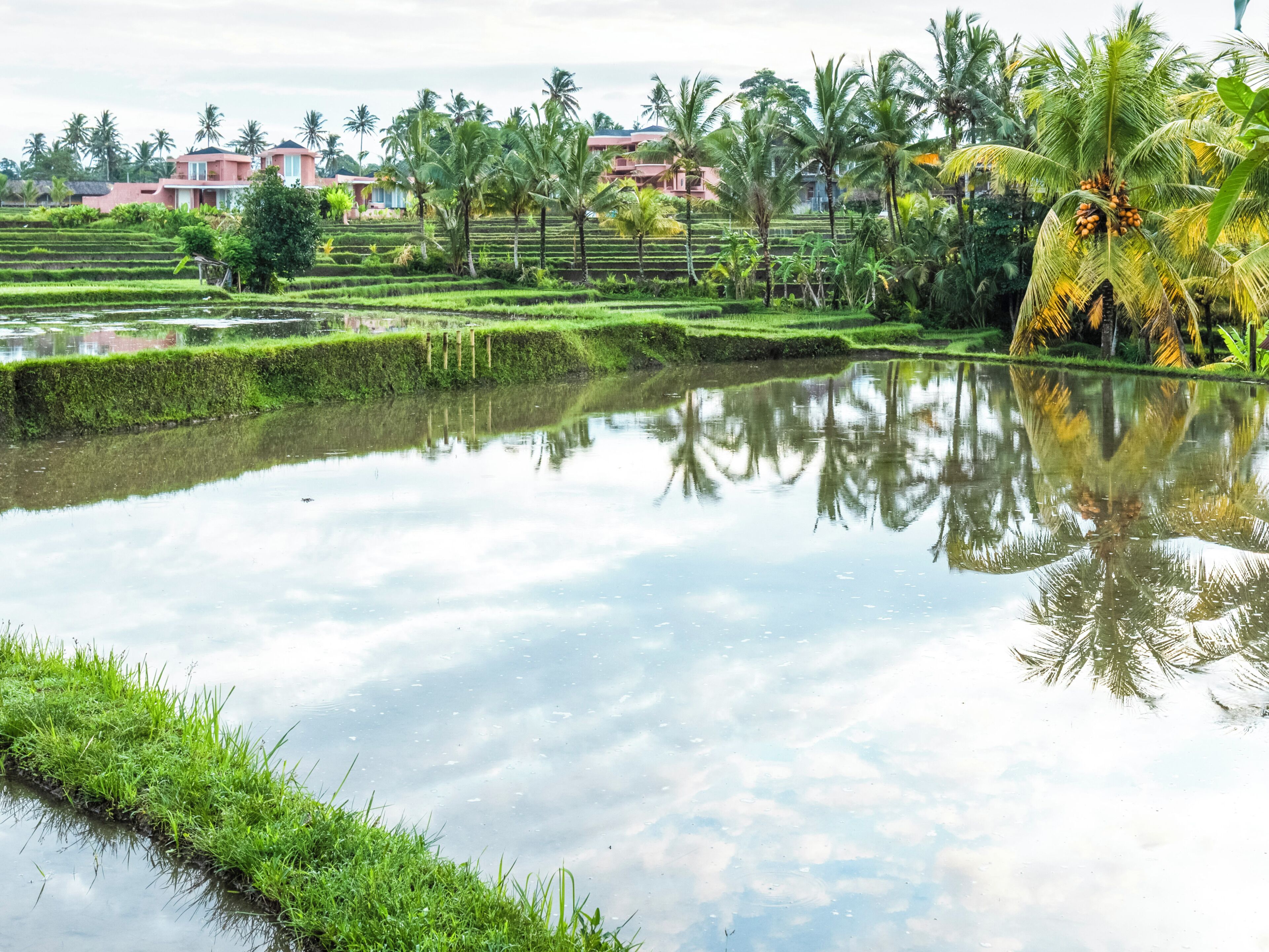 Rom – premier, 1 kingsize-seng, resort-utsikt, hageområde | Utsikt over resort