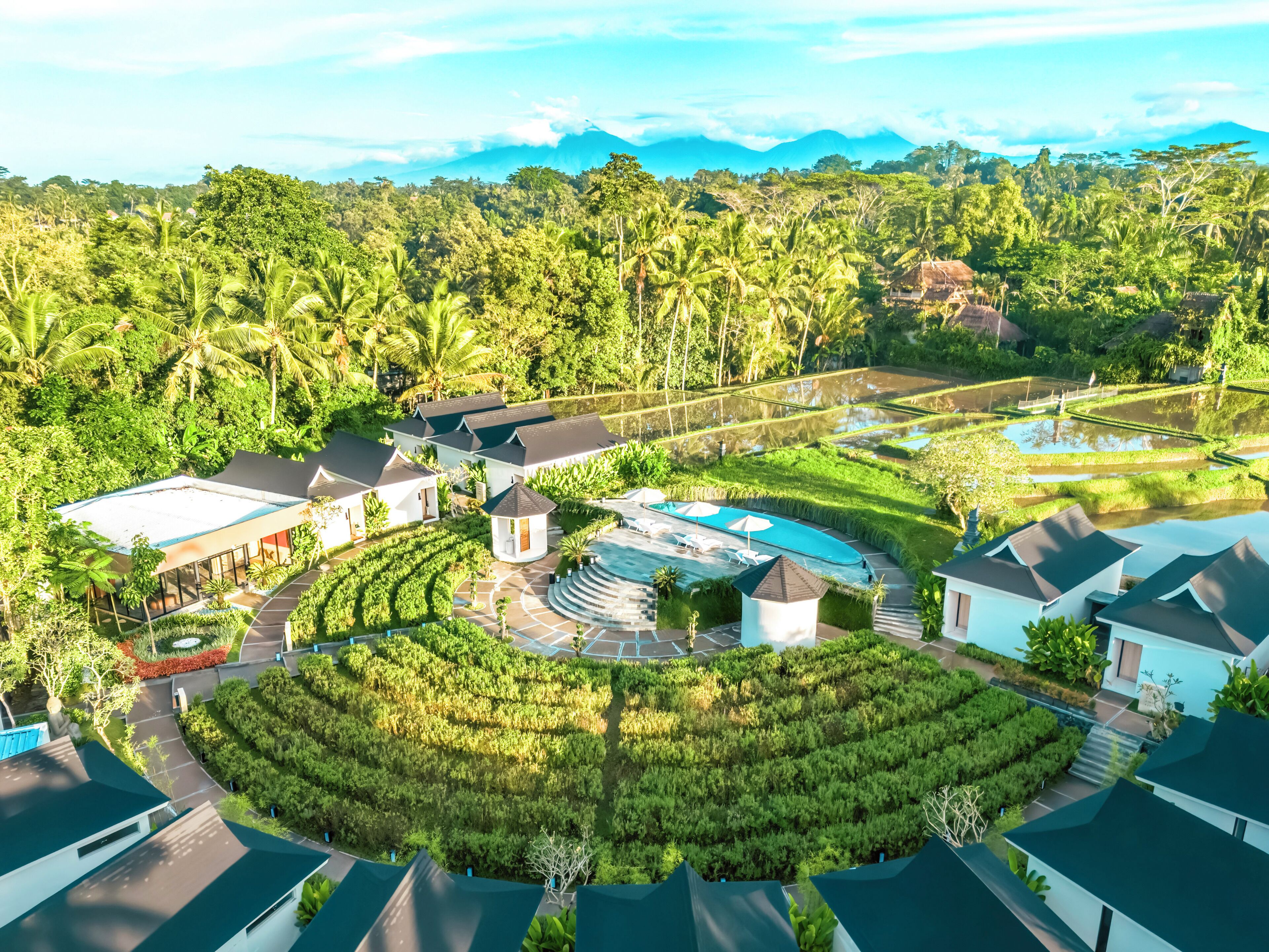 حديقة