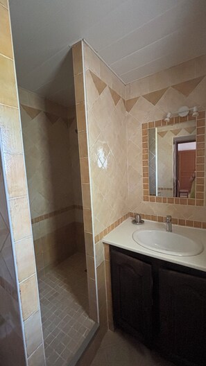 Shower - Gite for 4 people in the countryside each room has its own bathroom and private wc (Visan)