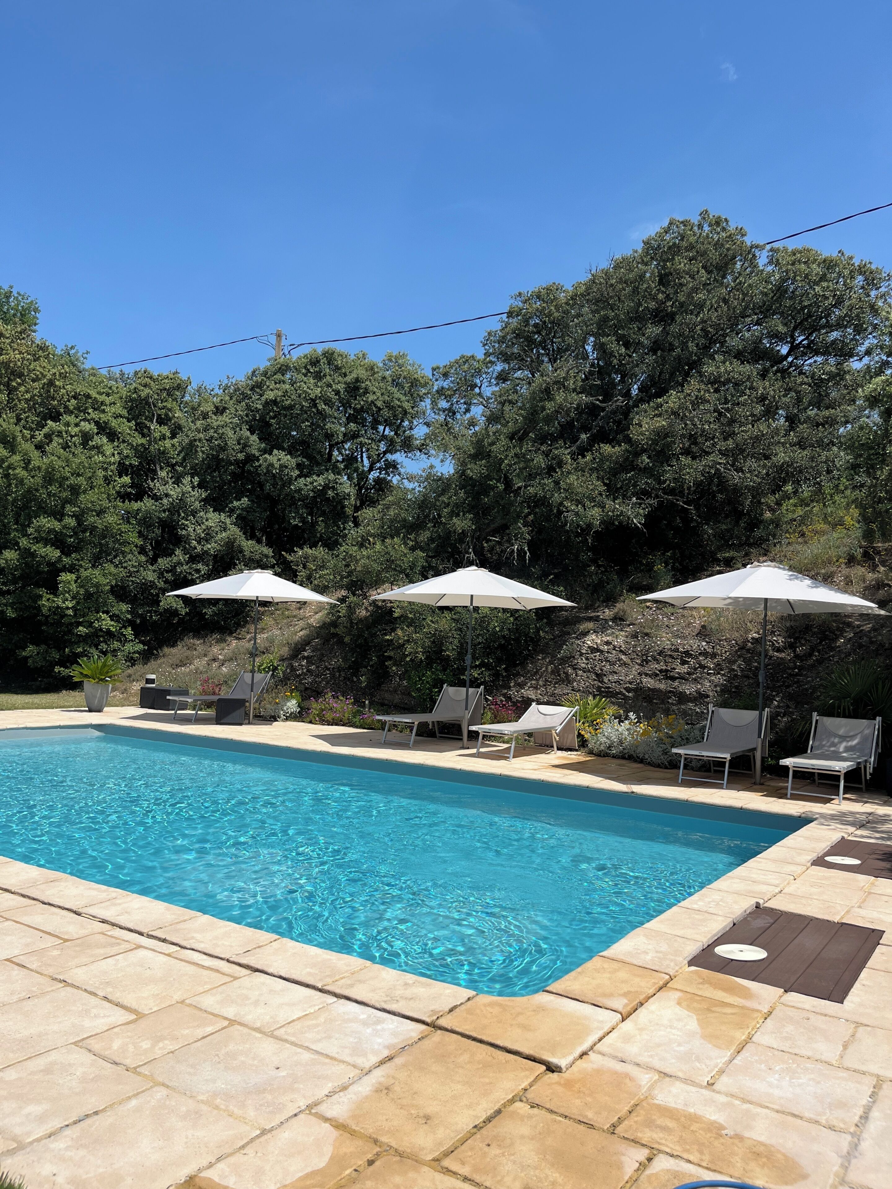 A swimming pool with lounge chairs and umbrellas, surrounded by trees and a stone patio.