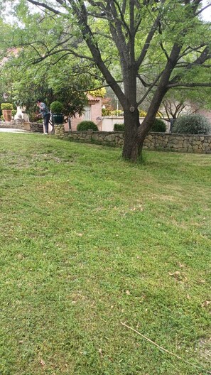 Property grounds - Bed and breakfast with Monique and her daughter Caroline at the foot of Mont Ventoux (Bédoin)