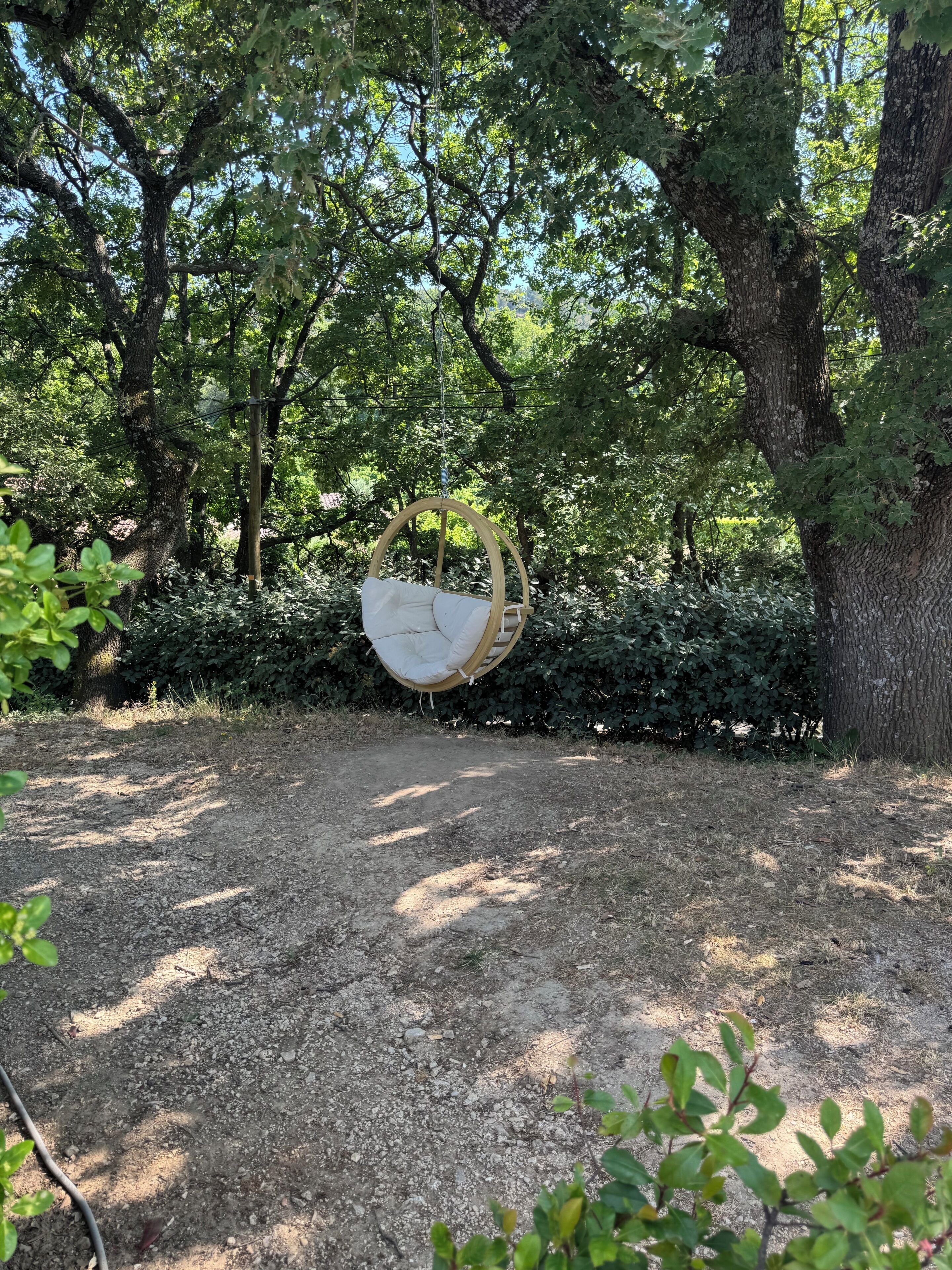 Una silla colgante sujeta a un árbol en un área boscosa con un camino de grava.