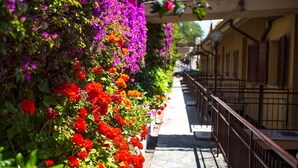 Ein schmaler, steinerner Weg, gesäumt von leuchtenden Blumen und einem Metallgeländer.