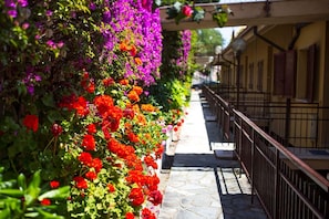 A narrow stone pathway flanked by vibrant flowers and a metal railing. - The Big Blue (Ospedaletti)