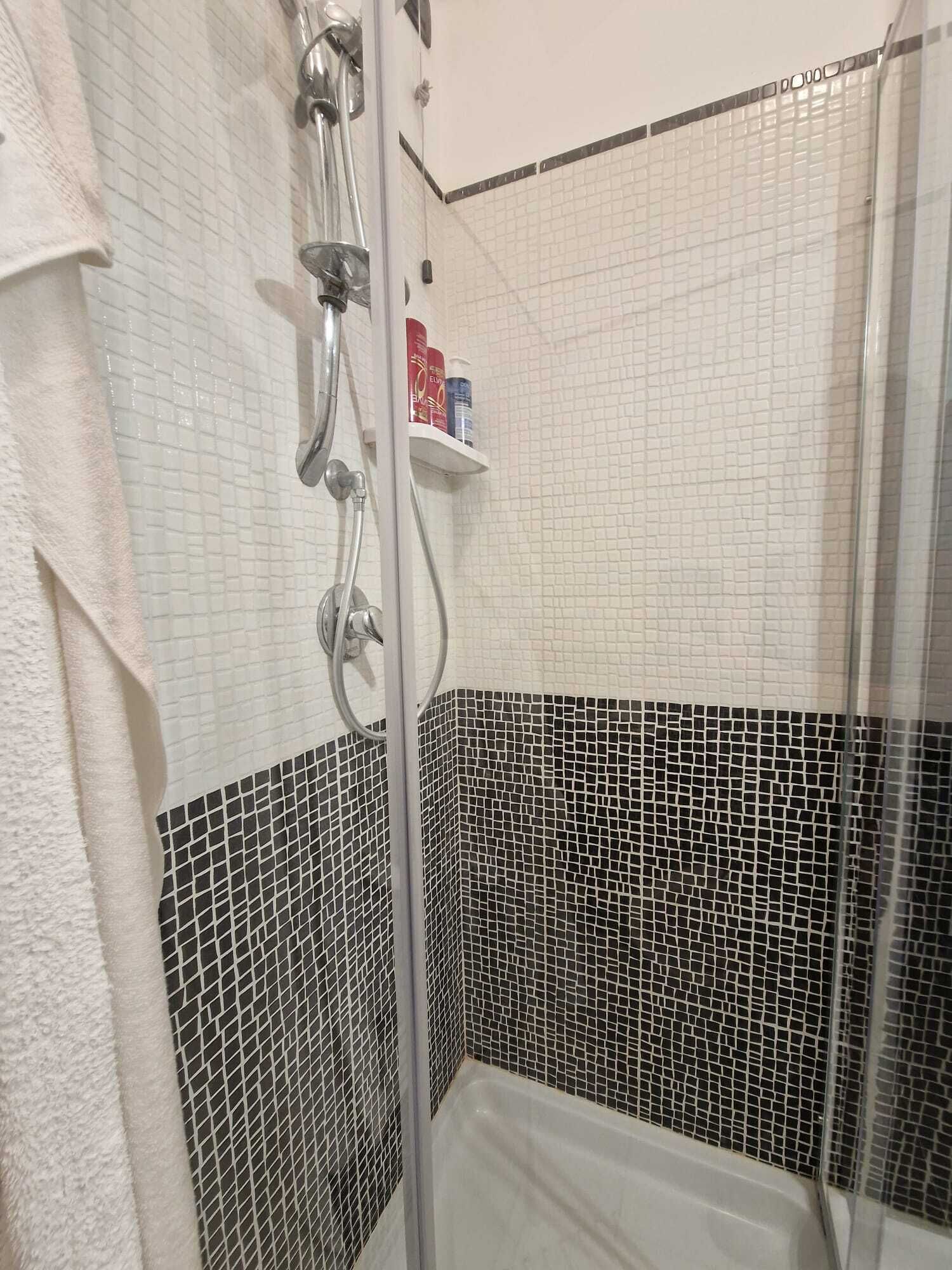 Dusche, Haartrockner, Bidet, Toilettenpapier