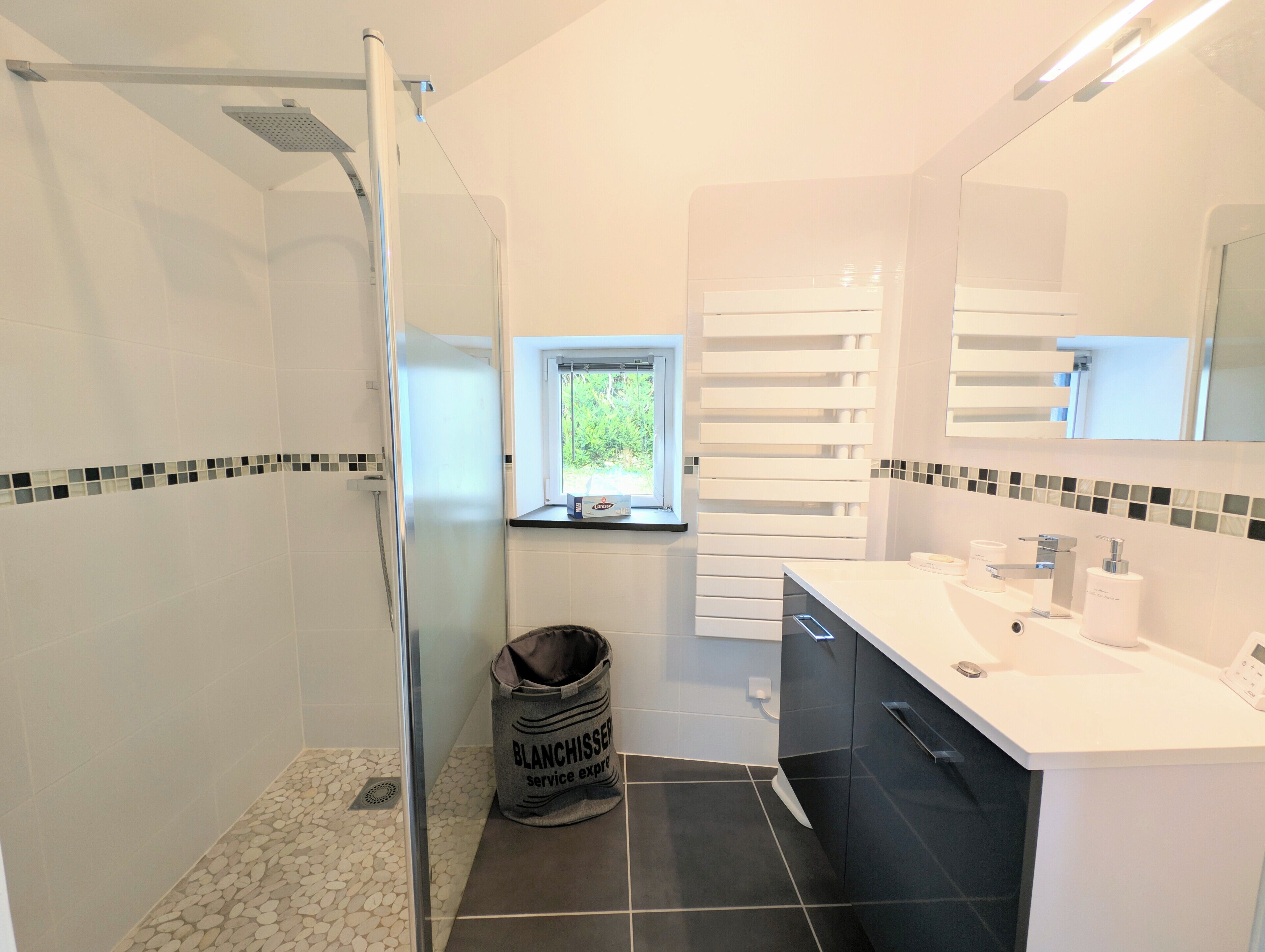 Douche, séchoir à cheveux, papier de toilette