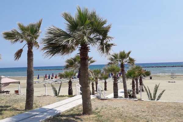 On the beach
