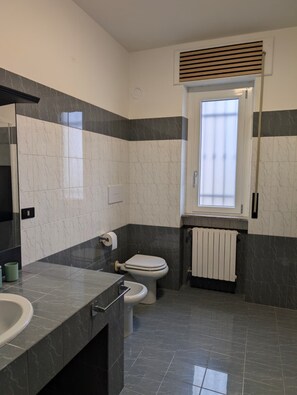 Dusche, Haartrockner, Bidet, Handtücher