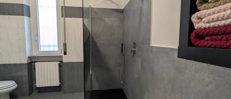 Shower, hair dryer, bidet, towels