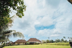 Exterieur