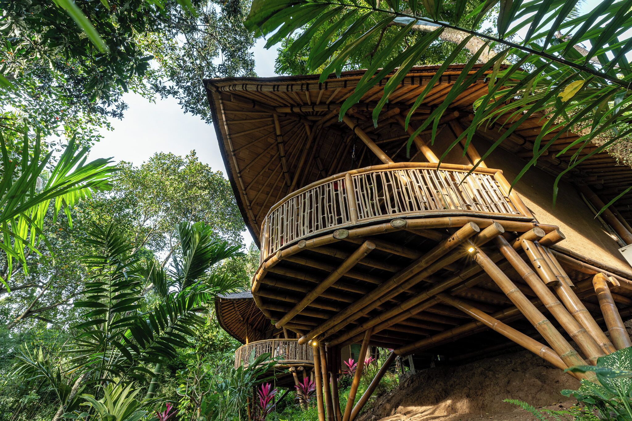 Une structure en bambou dotée d’un balcon incurvé, entourée d’une végétation luxuriante.