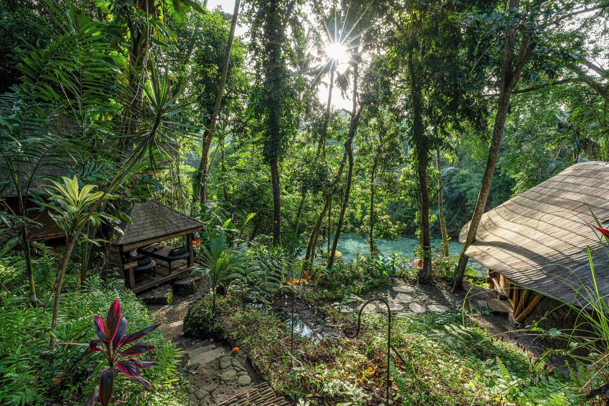 Taman