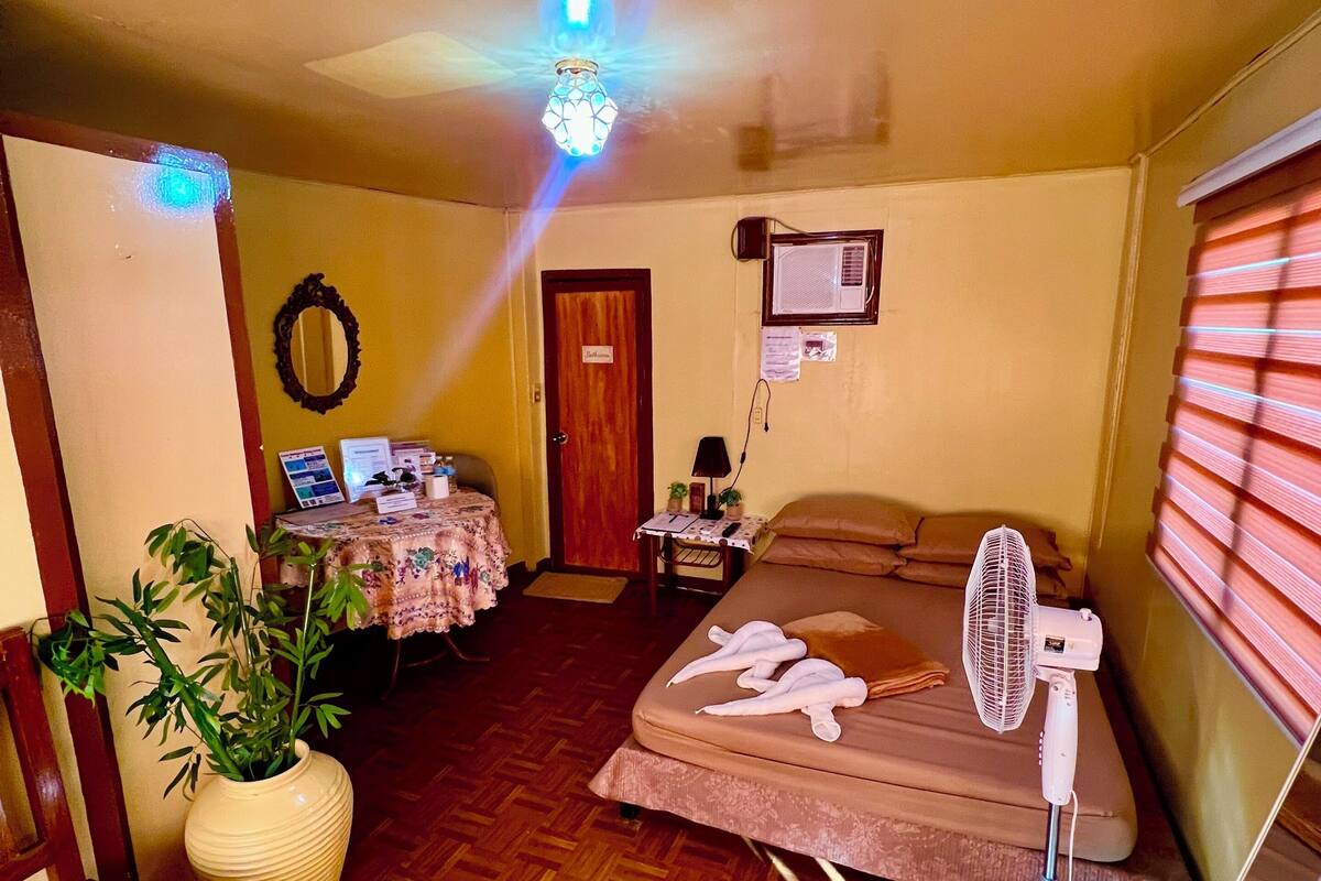 A room with a bed, a desk with a computer, a plant, and a ceiling fan.