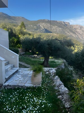 Property grounds - Anifo Apartment with Sea View, Wi-Fi, and Air Conditioning (Corfu)