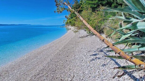 Een kiezelstrand met helderblauw water en begroeiing.