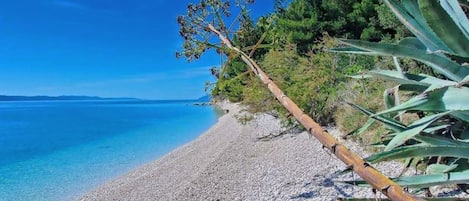 海灘