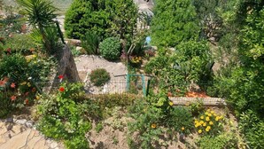 A garden with various plants and flowers, a stone pathway, and a view of the sea. - Apartment Garden by the Sea (Celina)