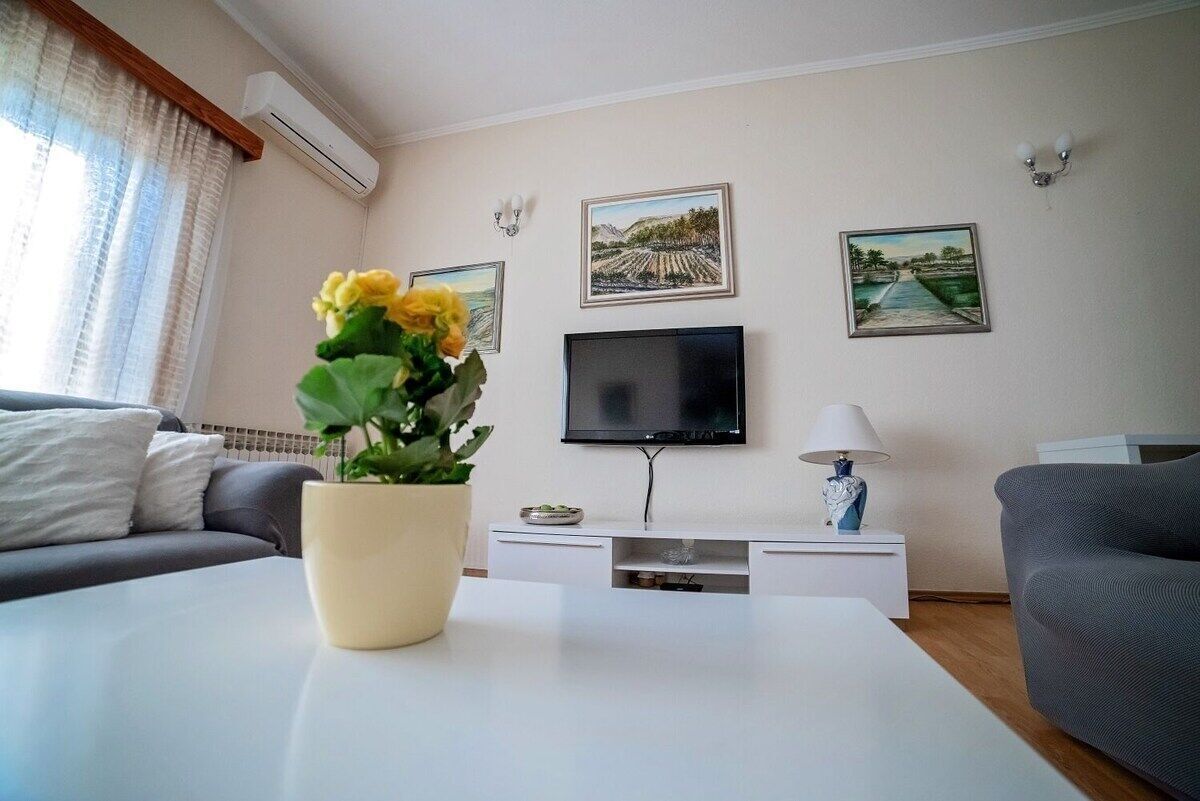 A living room with a sofa, a TV, a table with a plant, and artwork on the wall.