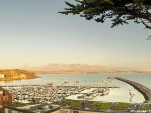 A marina with numerous boats docked, a curved breakwater, and a distant shoreline with buildings.
