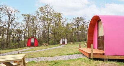 Llannerch Glamping Pod 3, St Asaph