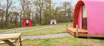 Llannerch Glamping Pod 3, St Asaph