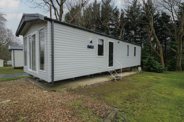 Woodlands Gold (WO06)