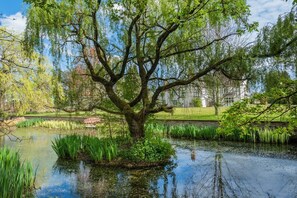 Property grounds - Hall O'Coole, Wrenbury (Nantwich)