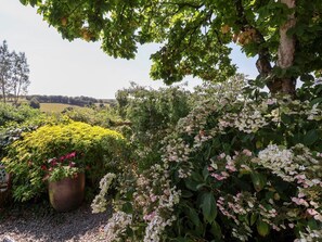 Property grounds - Magnolia View, Barnstaple (Barnstaple)
