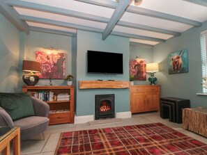 A living room with a fireplace, a television, a sofa, a bookshelf, and a plaid rug.