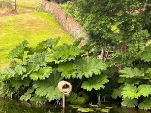 A pond with water lilies, a birdhouse, and lush greenery. - The Coach House, Bolney Sussex (Haywards Heath)